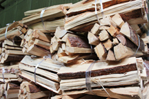 乾燥中の積み上げた薪