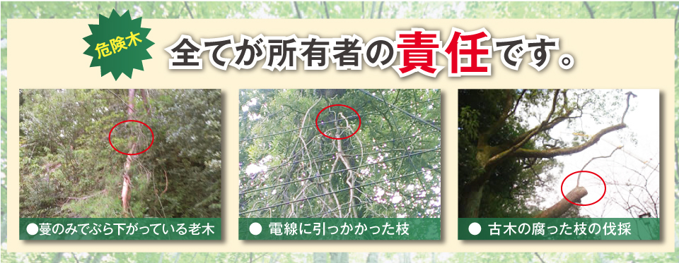 危険木イメージ「全てが所有者の責任です。」●神社の倒木撤去●電線の架かった枝の処理●古木の腐った枝の伐採