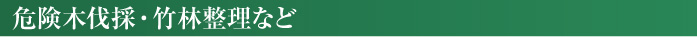 見出し危険木・竹林整理など