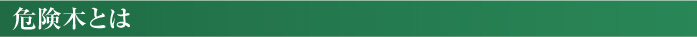 見出し危険木とは