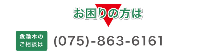 お困りの方は危険木のご相談は(075)863-6161